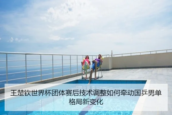 王楚钦世界杯团体赛后技术调整如何牵动国乒男单格局新变化